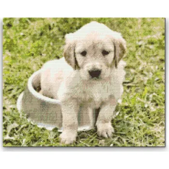 Diamantové malování Diamantové malování - Labrador v misce Velikost: 30x40cm, Rámování: Pouze srolované plátno, Diamanty: Kulaté