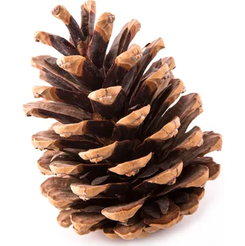 Drogerie Vůně do domácnosti - dřevěná šiška - vůně dřevo a domov (unisex)