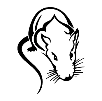 Samolepící dekorace SAMOLEPKA Krysa 004 pravá (01 - černá) NA AUTO, NÁLEPKA, FÓLIE, POLEP, TUNING, VLASTNÍ TEXT, TISK, AUTOSAMOLEPKY.cz, POLEPY, OBRÁZEK, LOGO, SAMOLEPKY