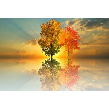 Vůně do bytu BEWIT MIRACLE THERAPY 5 ml