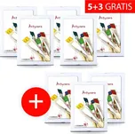 Akce 5+3: Skleněný clip rámeček 21x30 A4 GED - 8 rámečků za cenu 5 GEDEON