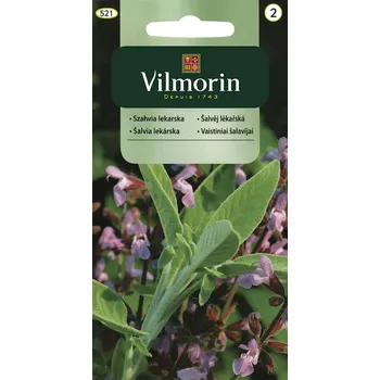 Semeno Šalvěj lékařská Vilmorin 1 g