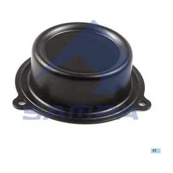 Víčko (kryt) náboje kola pro RENAULT KERAX, MAGNUM, MIDLUM, PREMIUM 20909