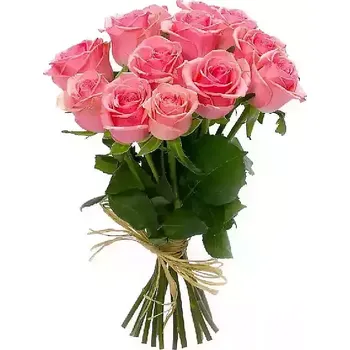 Sazenice Růžová růže Adél