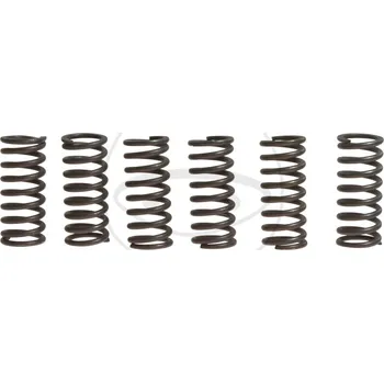 Auto-moto Sada spojkových pružin HONDA CBR 1000 F rok 87-00