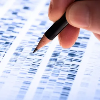 Diagnostický test Test potravinové intolerance