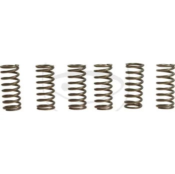 Sada spojkových pružin HONDA CRF 450 R rok 04-05