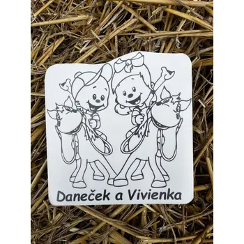 x Samolepka děti, jméno na přání