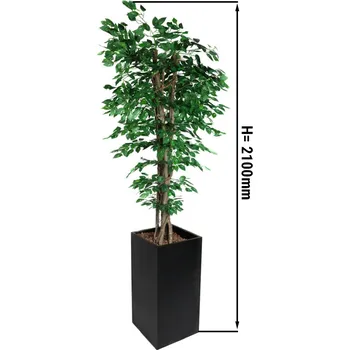 Vinotéka G.Gastro Fíkus