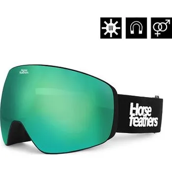 Snowboardové brýle Scout - black/mirror green