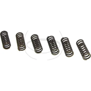Sada spojkových pružin SUZUKI RM 125 rok 93-98