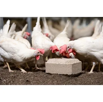 Krmivo pro koně Minerální klovací kámen pro drůbež s aminokyselinami a minerály Ultra Peck (balení 5kg)