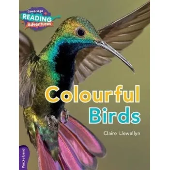Cizojazyčná kniha Cambridge Reading Adventures Colourful Birds Purple Band - Llewellyn, Claire