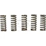 Sada spojkových pružin HONDA CB 1000 R rok 09-16