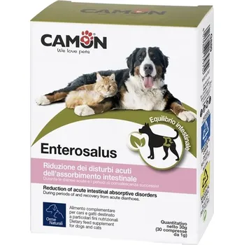 Pamlsek pro kočku ENTEROSALUS - DOPLNĚK STRAVY 30 TABLET