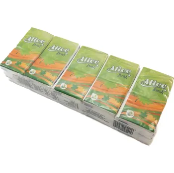 Papírový kapesník Kapesníčky hygienické 10ks, 3vr.celul.