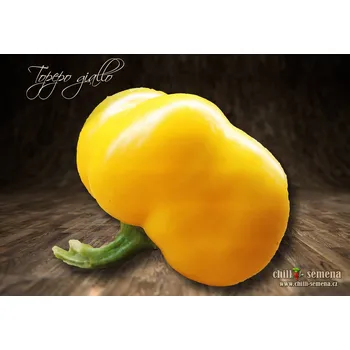 Semeno chilli-semena Topepo Giallo