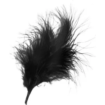 Peří černé 10ks