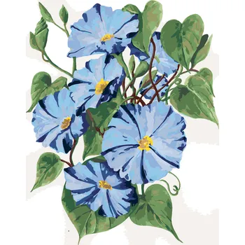 ZUTY Malování podle čísel - MODRÉ KVĚTY POVÍJNICE (ALEXANDRIA GILBERT) Rozměr: 80x100 cm, Rámování: bez rámu a bez vypnutí plátna