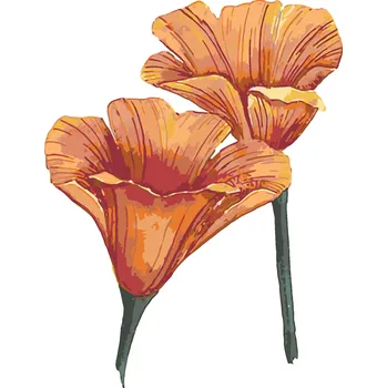 ZUTY Malování podle čísel - KALIFORNSKÉ VLČÍ MÁKY (ALEXANDRIA GILBERT) Rozměr: 40x50 cm, Rámování: bez rámu a bez vypnutí plátna