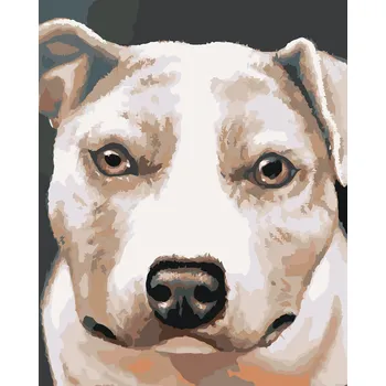 ZUTY Malování podle čísel - PIT BULL (MYROSLAVA VOLOSCHUK) Rozměr: 40x50 cm, Rámování: bez rámu a bez vypnutí plátna