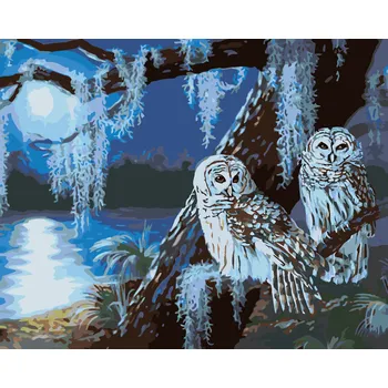 ZUTY Malování podle čísel - SNĚŽNÁ SOVA V NOCI ZA ÚPLŇKU (D. RUSTY RUST) Rozměr: 40x50 cm, Rámování: bez rámu a bez vypnutí plátna