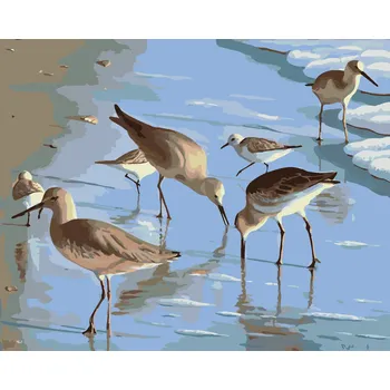 ZUTY Malování podle čísel - RACKOVÉ NA PLÁŽI (ROBERT JOHNSON) Rozměr: 40x50 cm, Rámování: bez rámu a bez vypnutí plátna