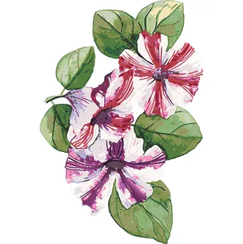 ZUTY Malování podle čísel - JARNÍ PETÚNIE (ALEXANDRIA GILBERT) Rozměr: 40x50 cm, Rámování: bez rámu a bez vypnutí plátna