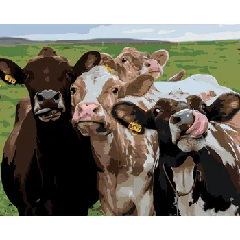 ZUTY Malování podle čísel - KRÁVA A JEJÍ KAMARÁDI Rozměr: 40x50 cm, Rámování: bez rámu a bez vypnutí plátna