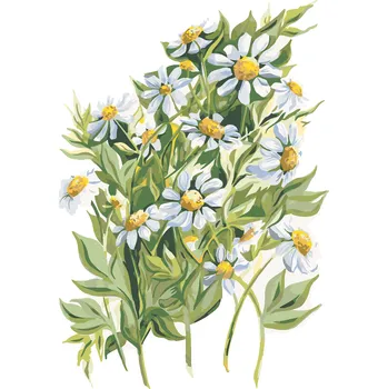 ZUTY Malování podle čísel - KOPRETINY (ALEXANDRIA GILBERT) Rozměr: 40x50 cm, Rámování: bez rámu a bez vypnutí plátna