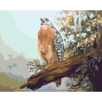 ZUTY Malování podle čísel - DRAVEC NA VĚTVI (D. RUSTY RUST) Rozměr: 40x50 cm, Rámování: bez rámu a bez vypnutí plátna