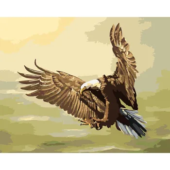 ZUTY Malování podle čísel - LOVÍCÍ OREL (D. RUSTY RUST) Rozměr: 40x50 cm, Rámování: bez rámu a bez vypnutí plátna