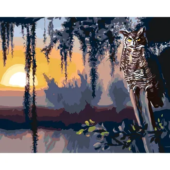 Hračka ZUTY Malování podle čísel - SOVA A ZÁPAD SLUNCE (D. RUSTY RUST) Rozměr: 40x50 cm, Rámování: bez rámu a bez vypnutí plátna
