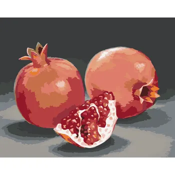 ZUTY Malování podle čísel - GRANÁTOVÉ JABLKO 3 (MYROSLAVA VOLOSCHUK) Rozměr: 40x50 cm, Rámování: bez rámu a bez vypnutí plátna