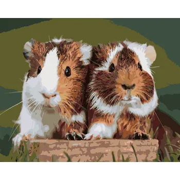 ZUTY Malování podle čísel - DVĚ MILUJÍCÍ MORČATA Rozměr: 40x50 cm, Rámování: vypnuté plátno na rám