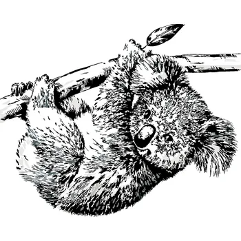 ZUTY Malování podle čísel - ČERNOBÍLÁ KOALA Rozměr: 40x50 cm, Rámování: bez rámu a bez vypnutí plátna