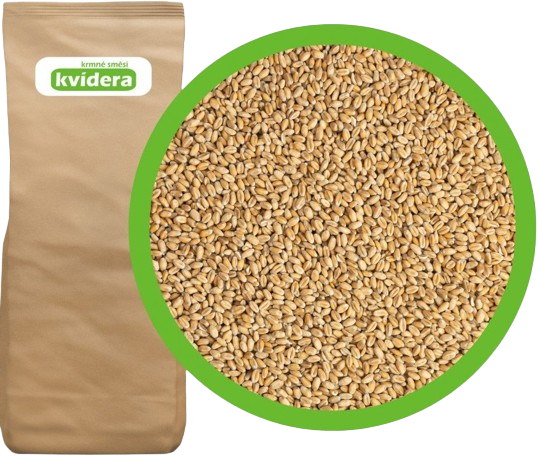 Krmné směsi Kvídera Krmná pšenice 25 kg od 238 Kč - Zbozi.cz