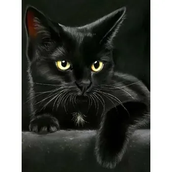 Diamantové malování Čína Diamantové malování - motivy koček- hranaté diamanty II Rozměry: 20x25 cm, Varianta: J