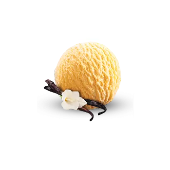 Ochucovací pasta Joypaste - Madagaskarská vanilka / Bourbon 1,2 kg