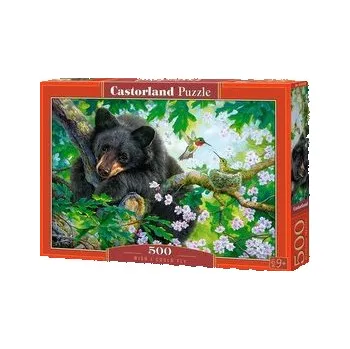 Puzzle Puzzle 500 Wish I Could Fly CASTOR