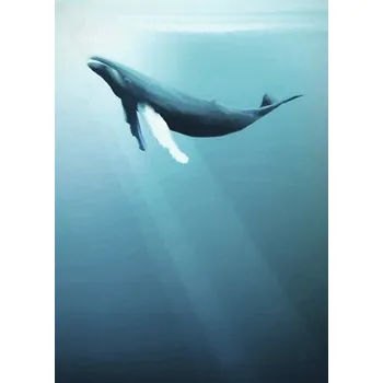 Fototapeta Fototapeta vliesová IAX4-0045 Artsy Humpback Whale 200x280 cm