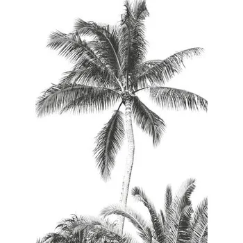 Fototapeta Fototapeta vliesová IAX4-0011 Retro Palm 200x280 cm