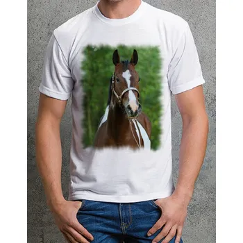 Chlapecké tričko tričko s koněm č. 29 XXL