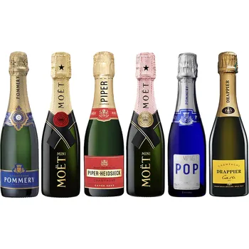 Mini ochutnávková sada champagne (6x0,2l)