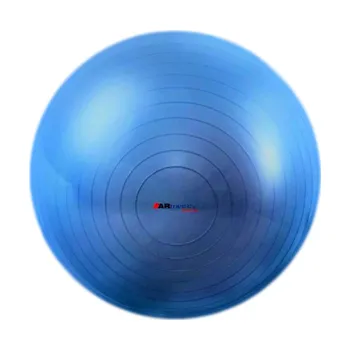 Gymnastický míč ARmedical Míč cvičební CLASSIC pr. 65cm + pumpa