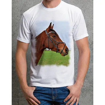 Chlapecké tričko tričko s koněm č. 21 128