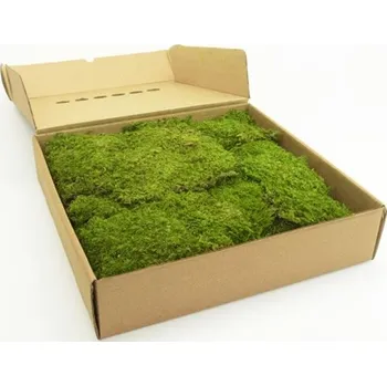 umělá květina Stabilizovaný mech, rock moos světle zelený