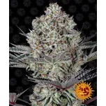 Barney's Farm Dos Si Dos 33 Balení: 10ks