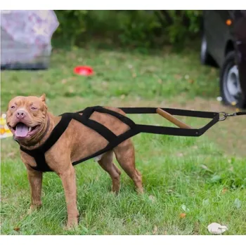 Postroj pro psa PET ARTIS Tažný postroj pro psa podšitý - černý Velikost: M