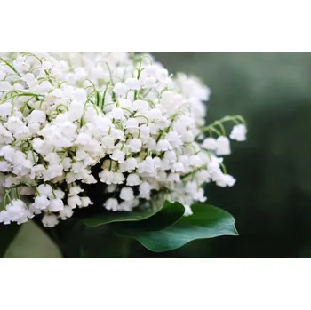 Plakát Plakát, Obraz - Spring collection of holiday cards with, Mariia Zotova